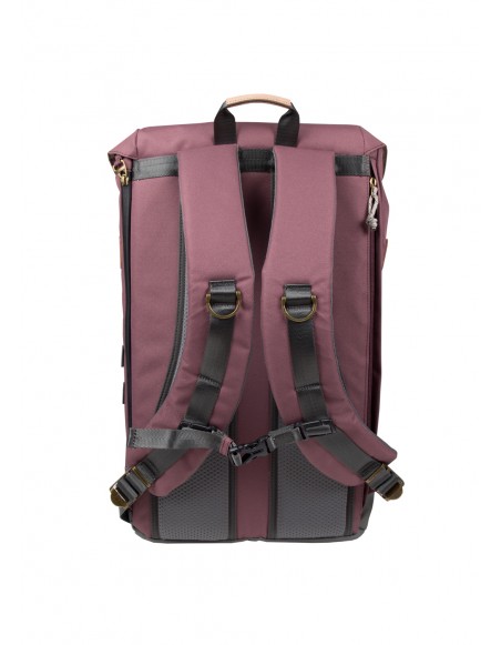 Plecak Doughnut Colorado Reborn Series Plum 19L